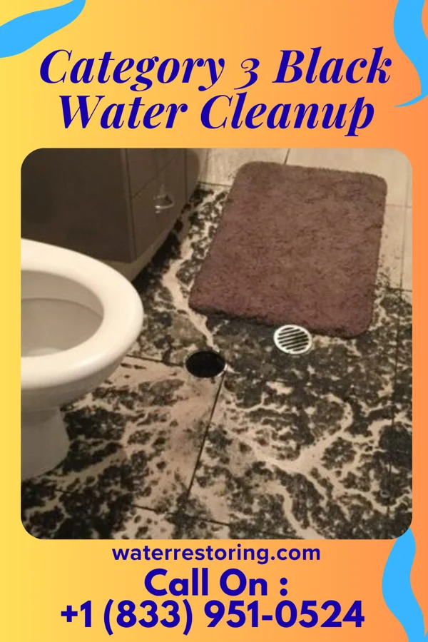 Category 3 Black Water Cleanup in Golf Manor, OH