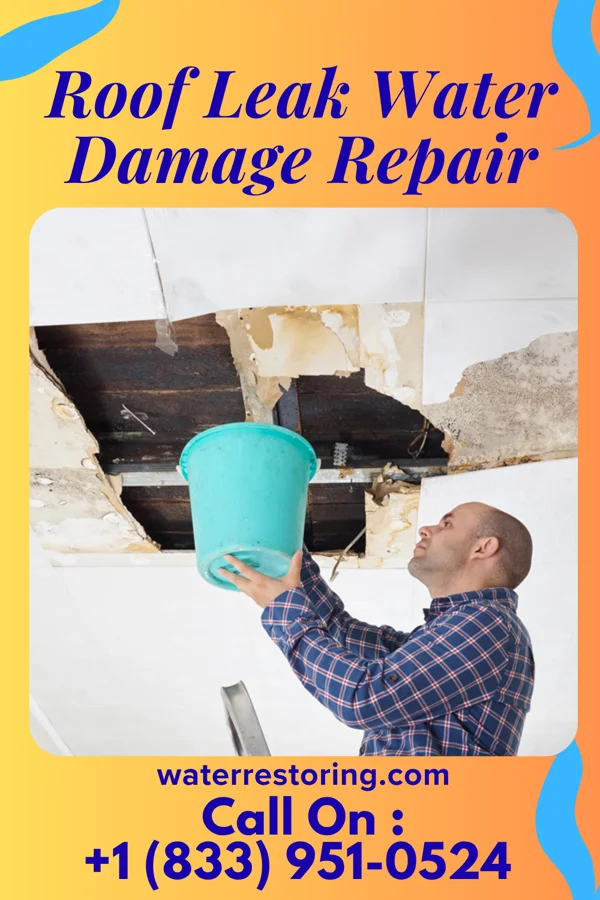 Roof Leak Water Damage Repair in Golf Manor, OH