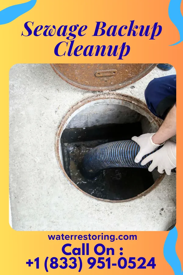 Sewage Backup Cleanup in Golf Manor, OH