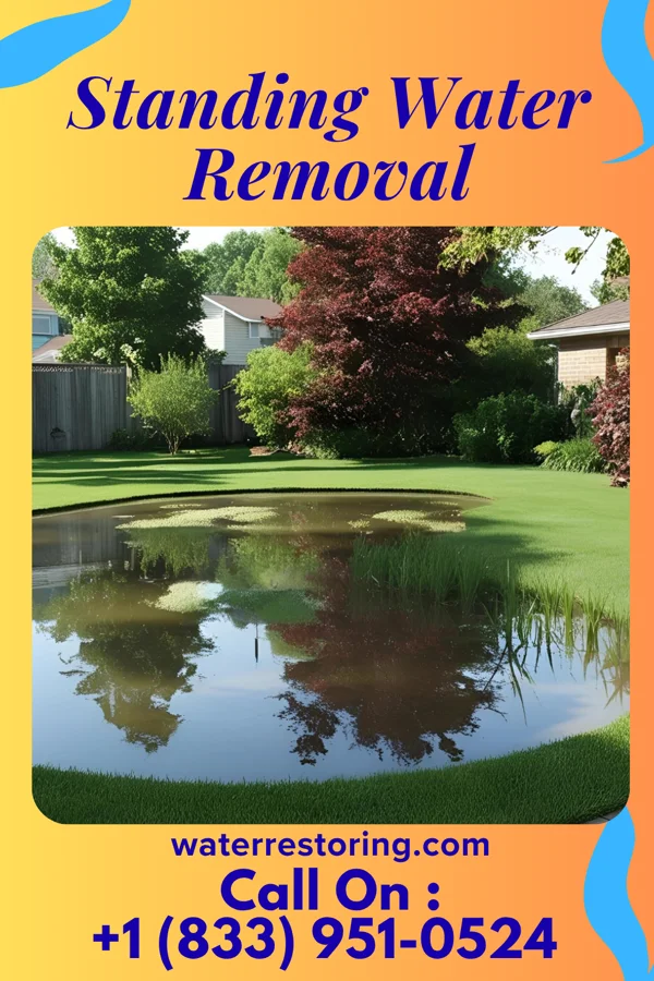 Standing Water Removal in Golf Manor, OH
